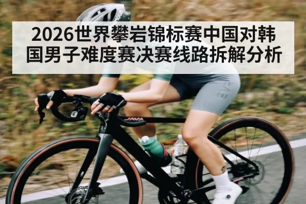2026世界攀岩锦标赛中国对韩国男子难度赛决赛线路拆解分析